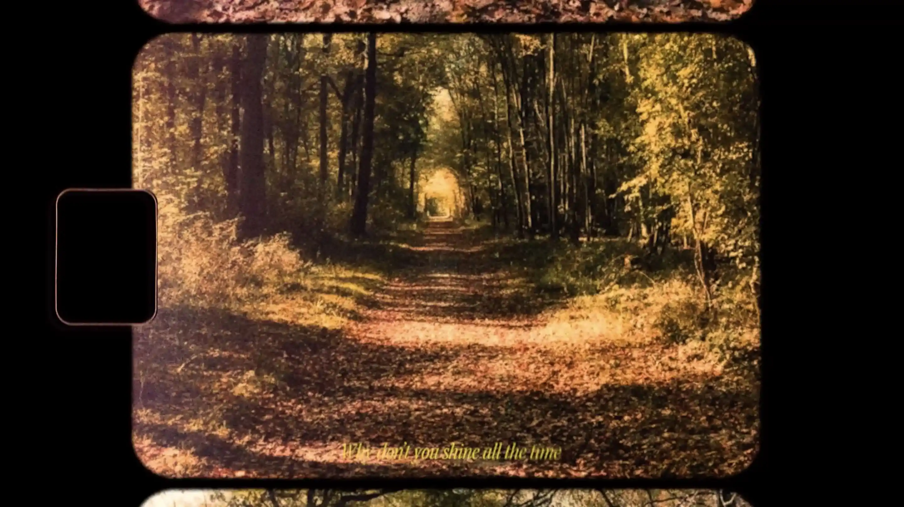 Miniature image