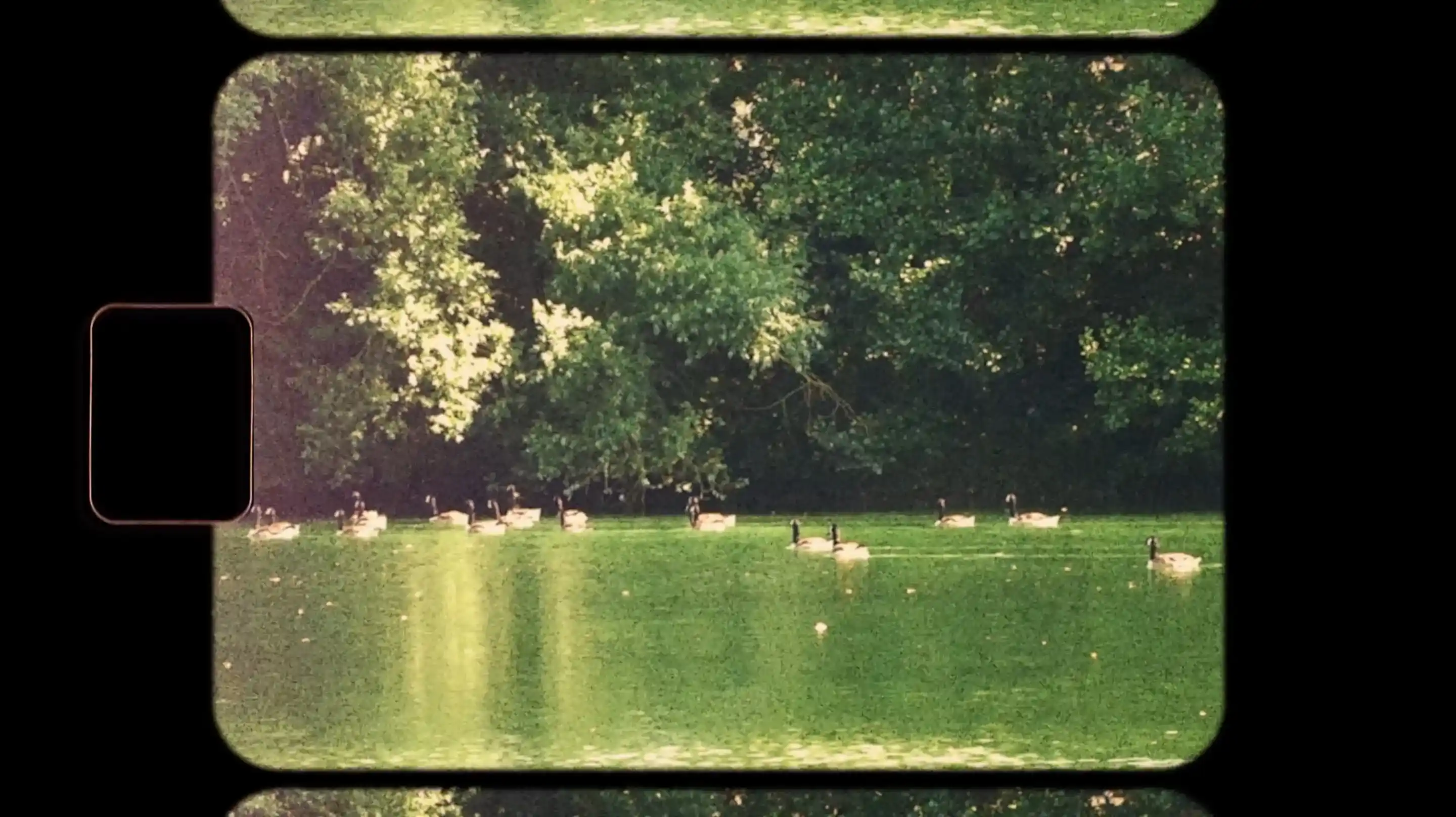 Miniature image