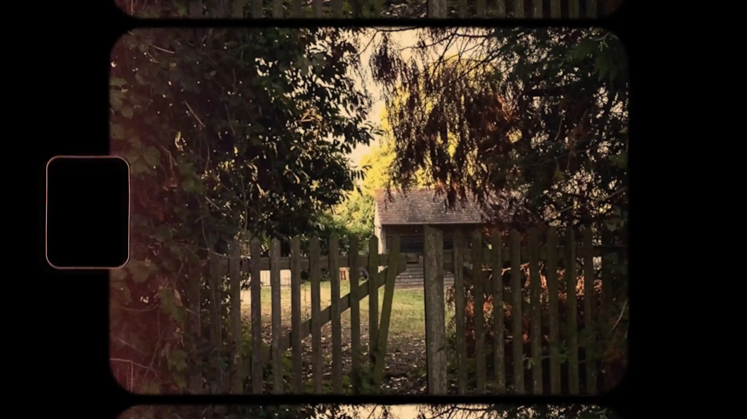 Miniature image